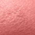 Rose Coup De Foudre 16
